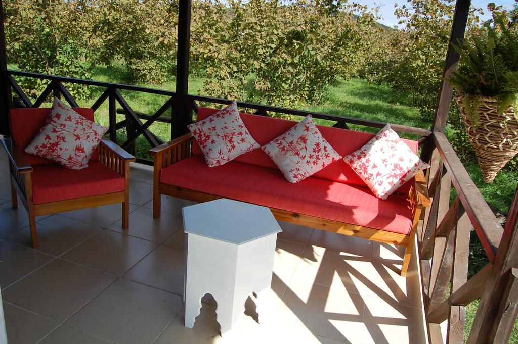 Agva Nehir Perisi Hotel Goce Pokoj fotografie