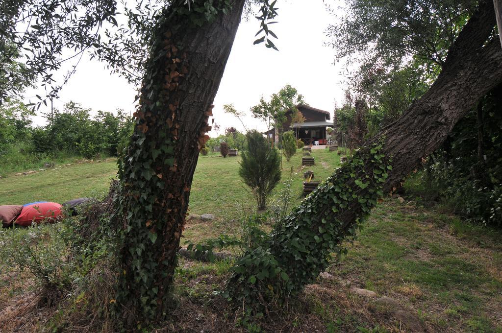 Agva Nehir Perisi Hotel Goce Pokoj fotografie