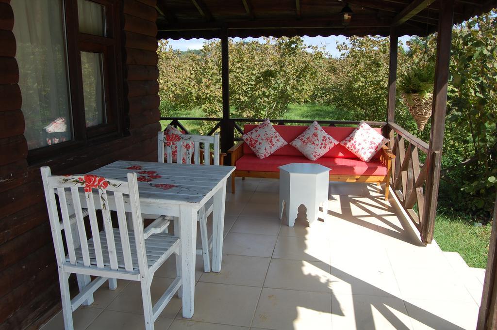Agva Nehir Perisi Hotel Goce Pokoj fotografie