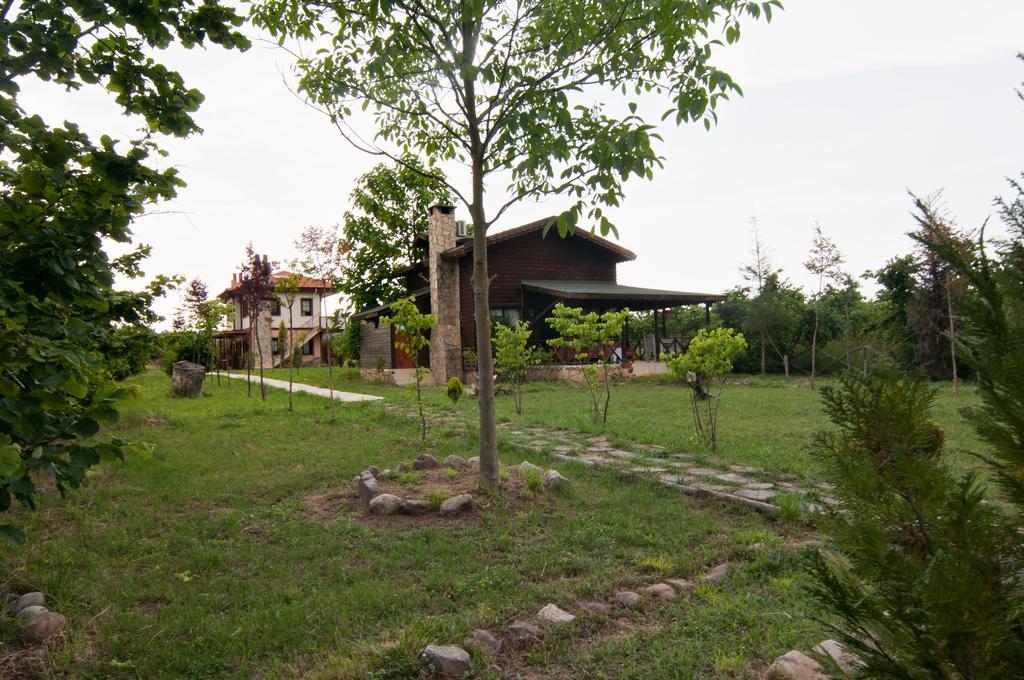 Agva Nehir Perisi Hotel Goce Pokoj fotografie